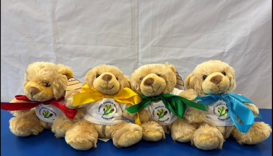 Christ Church Primary School Teddy Bear