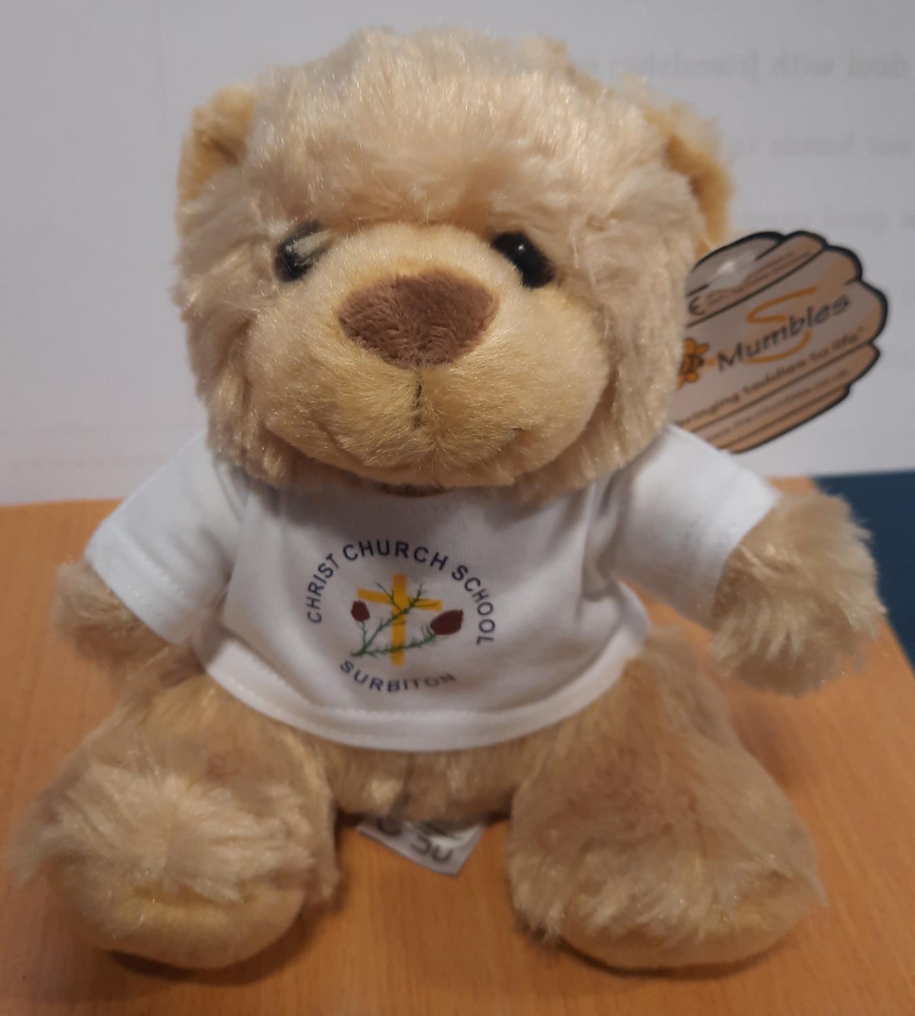 Pre-order your Christ Church School Bear here for collection at the Summer Fair!